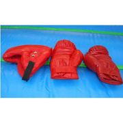 sport inflatable game